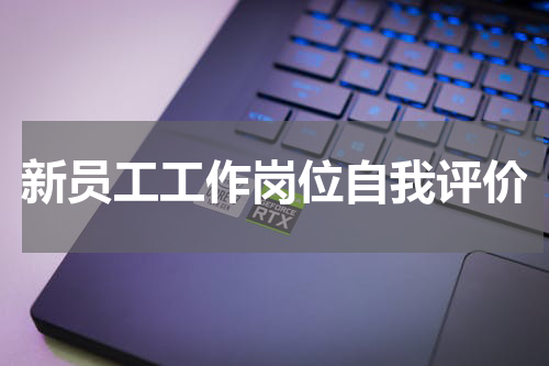 新员工工作岗位自我评价