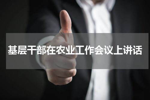 基层干部在农业工作会议上讲话