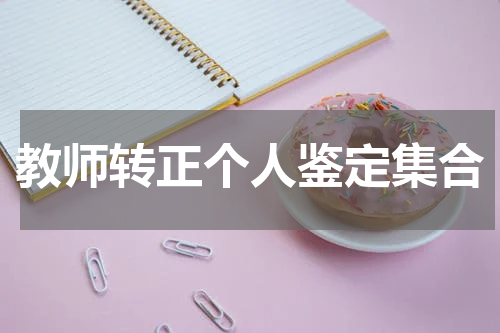 教师转正个人鉴定集合
