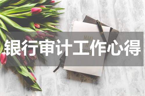 银行审计工作心得