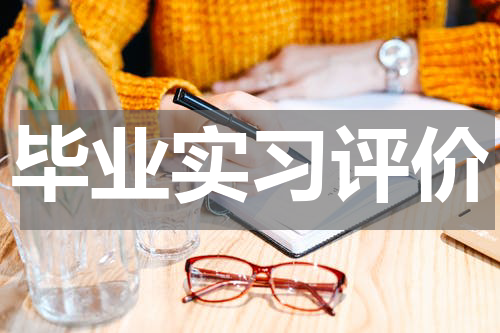 毕业实习评价