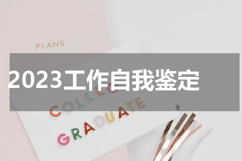 2023工作自我鉴定