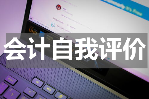 会计自我评价