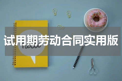试用期劳动合同实用版