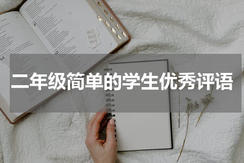 二年级简单的学生优秀评语