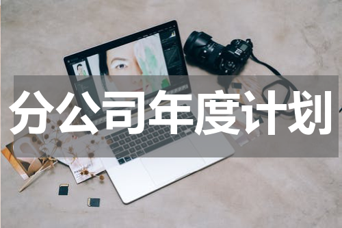 分公司年度计划