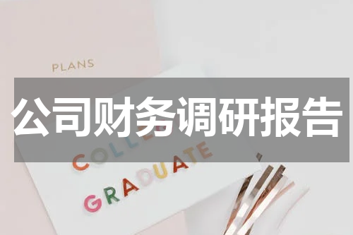 公司财务调研报告