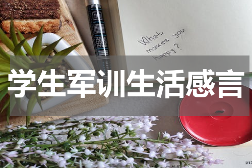 学生军训生活感言
