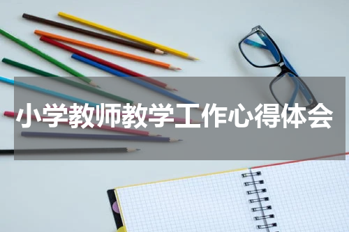 小学教师教学工作心得体会