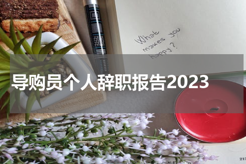 导购员个人辞职报告2023