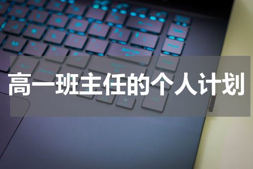 高一班主任的个人计划