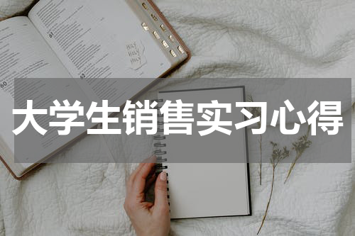大学生销售实习心得
