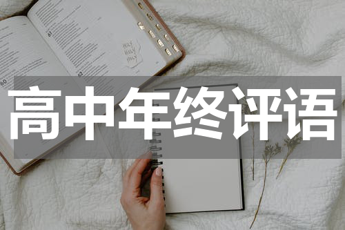高中年终评语