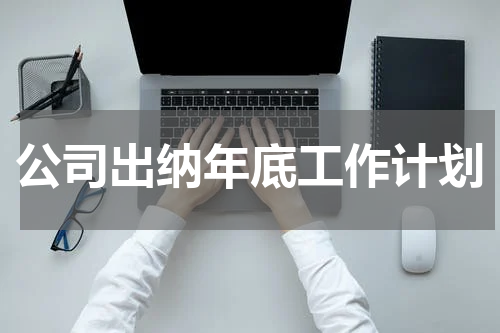 公司出纳年底工作计划