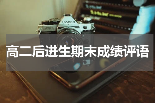 高二后进生期末成绩评语