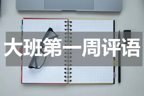 大班第一周评语