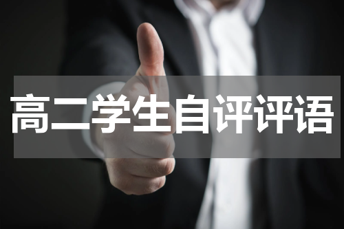 高二学生自评评语
