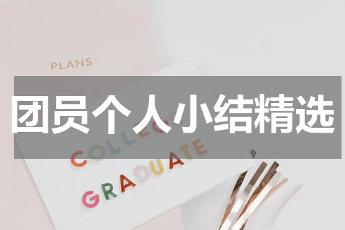 团员个人小结精选
