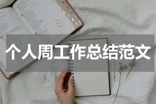 个人周工作总结范文