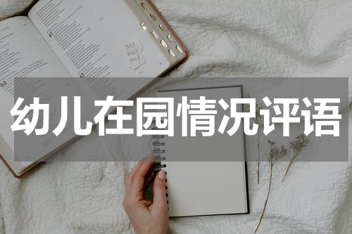 幼儿在园情况评语