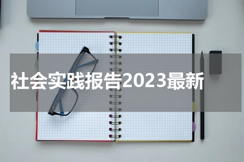 社会实践报告2023最新