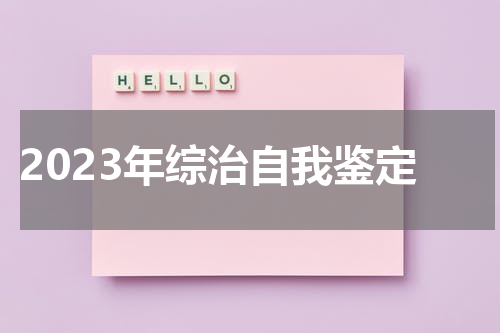2023年综治自我鉴定