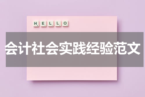 会计社会实践经验范文