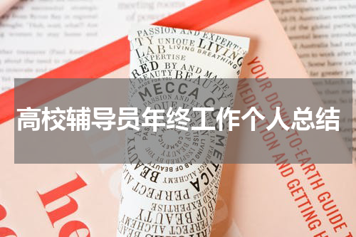 高校辅导员年终工作个人总结