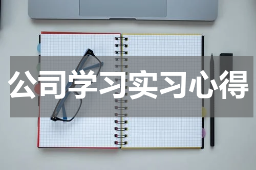 公司学习实习心得