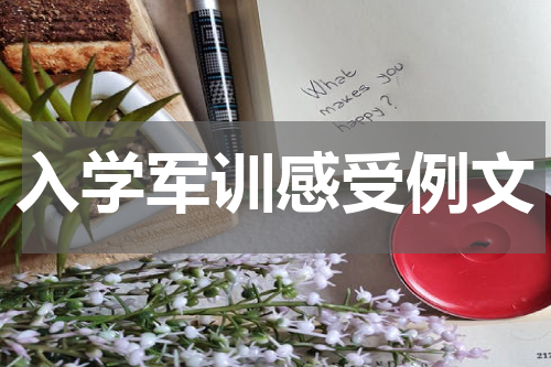 入学军训感受例文