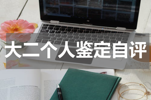 大二个人鉴定自评