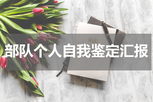 部队个人自我鉴定汇报