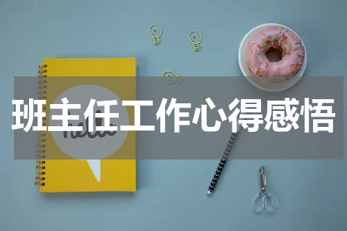 班主任工作心得感悟