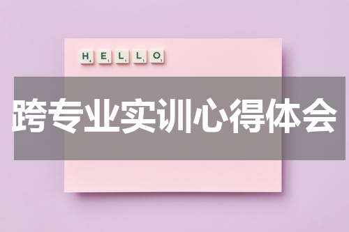 跨专业实训心得体会