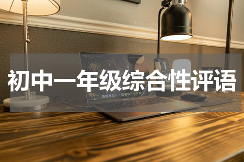 初中一年级综合性评语