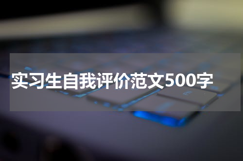 实习生自我评价范文500字