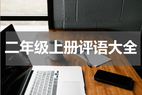 二年级上册评语大全
