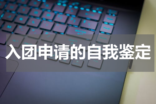 入团申请的自我鉴定