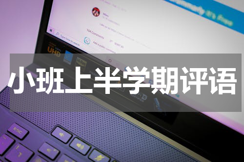 小班上半学期评语
