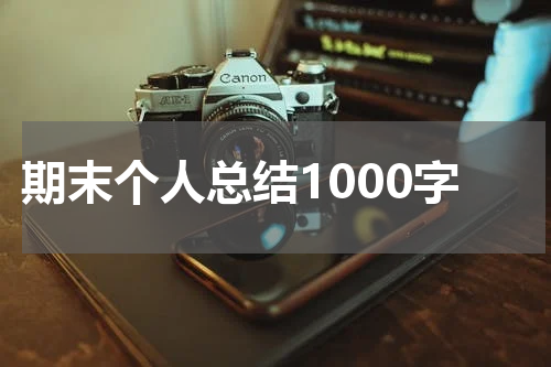 期末个人总结1000字
