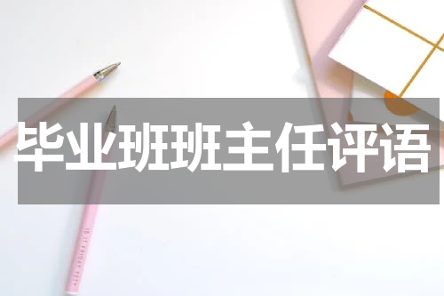 毕业班班主任评语