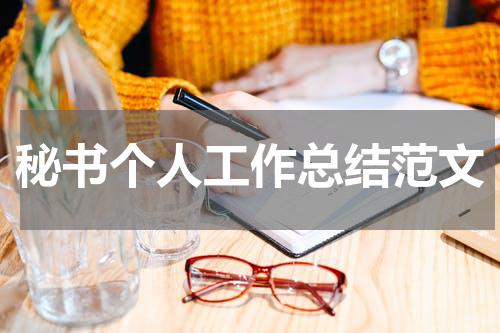 秘书个人工作总结范文