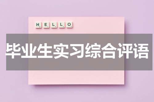 毕业生实习综合评语