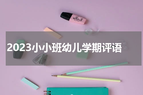 2023小小班幼儿学期评语