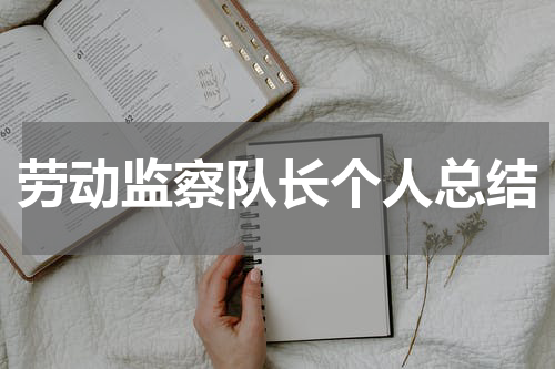 劳动监察队长个人总结
