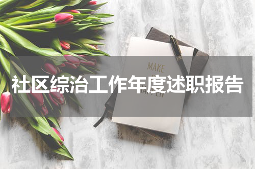 社区综治工作年度述职报告