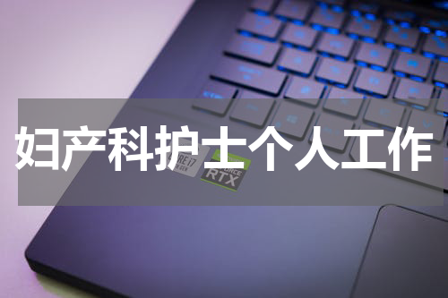妇产科护士个人工作