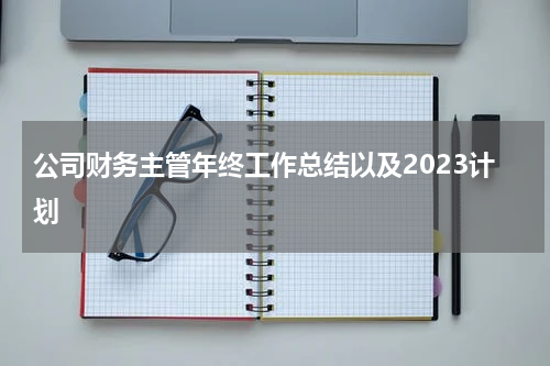 公司财务主管年终工作总结以及2023计划