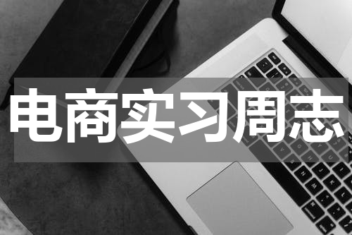 电商实习周志