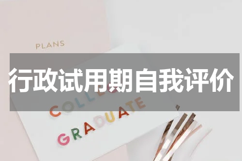 行政试用期自我评价